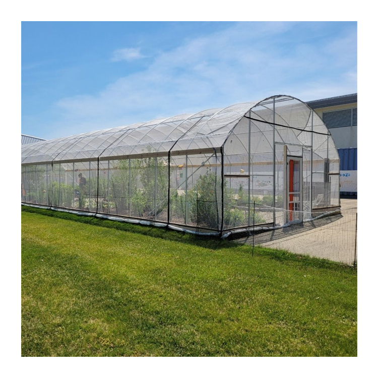 Set Lengkap Pintar, Peralatan  - Smart Garden Netting ulasan dan harga