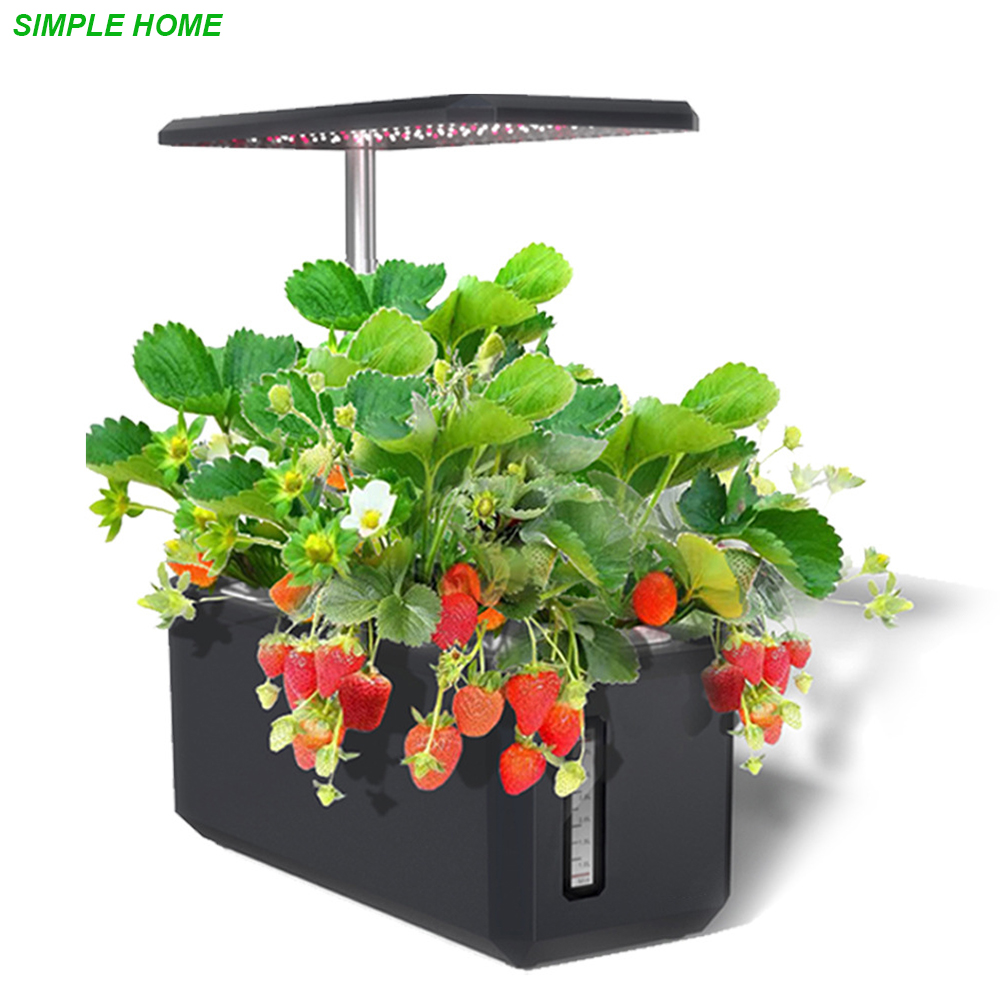 Sistem Pertumbuhan Hidroponik  - Smart Garden Nursery ulasan dan harga
